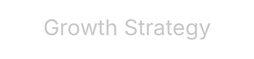 growth-strategy-ismail-yildirim
